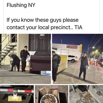 Sunrise Tile - Sunrise tile putting bleach in cat food - Building Supplies Near Me - Flushing, New York