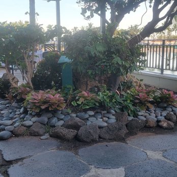 Bali Oceanfront - Seafood Near Me - Honolulu, Hawaii Bali Oceanfront - Seafood Near Me - Honolulu, Hawaii