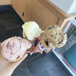 Friendly's - Strawberry vanilla and vienna chip