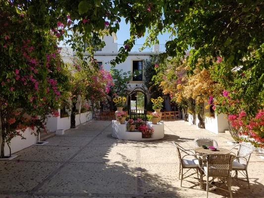 Hacienda de San Rafael by null