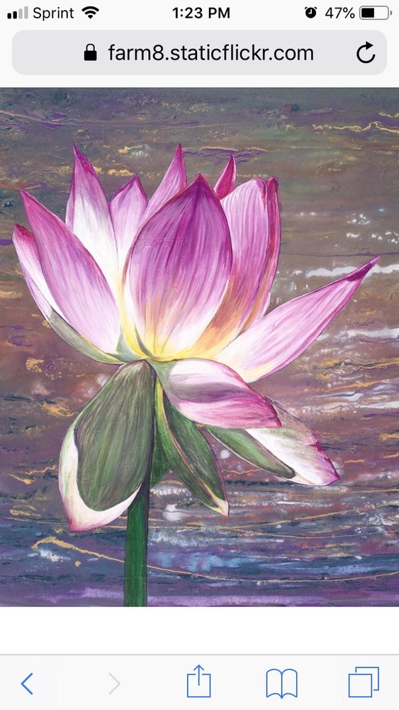 Lotus Effect Bodywork Image
