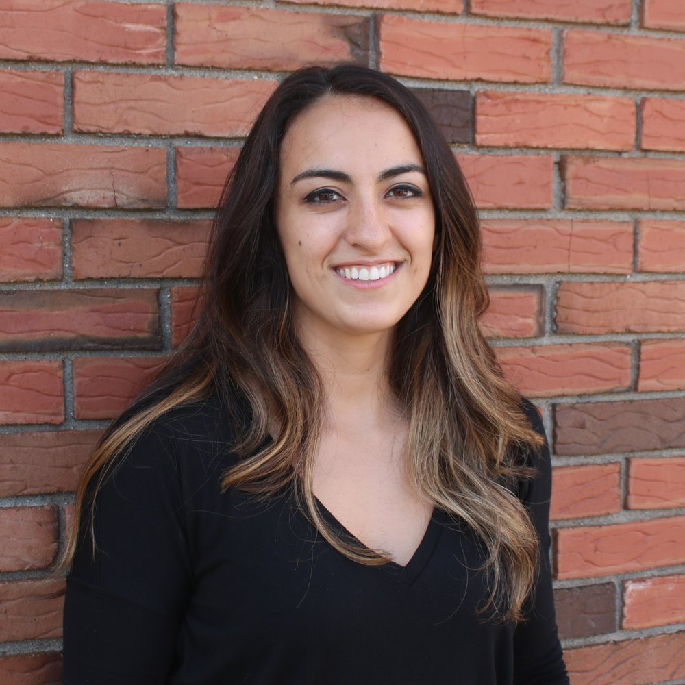 WILD APPLE EYE CARE Updated September 2024 13 Photos 34 Main St