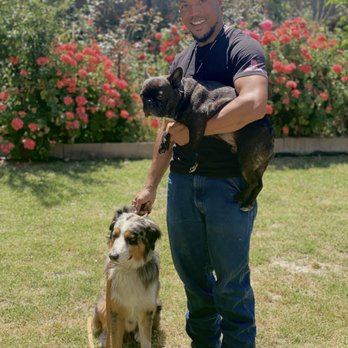Bad Attitude K9 - Look how relaxed JD is! Hahaha - Pet Training Near Me