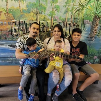 Gatorland - Holding baby gator or croc I'm not sure lol - Zoos Near Me - Orlando, Florida Gatorland - Holding baby gator or croc I'm not sure lol - Zoos Near Me - Orlando, Florida