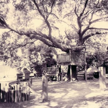 Bayou Tree Service - Tree Services Near Me - New Orleans, Louisiana Bayou Tree Service - Tree Services Near Me - New Orleans, Louisiana