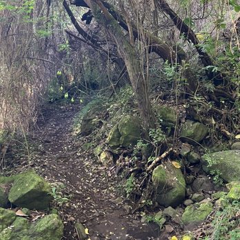 Ohana Trail MTB - Mountain Biking Near Me - Kailua, Hawaii Ohana Trail MTB - Mountain Biking Near Me - Kailua, Hawaii