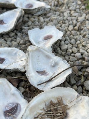 Inn at Haven Harbour by null