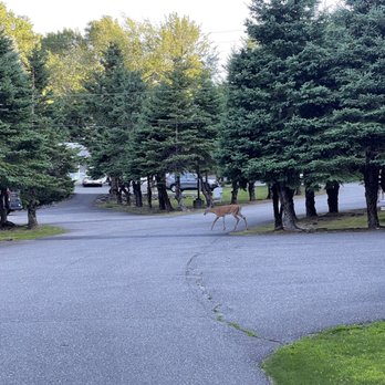 Bar Harbor Motel - Hotels Near Me - Bar Harbor, Maine
