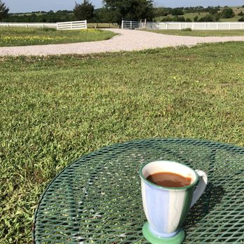 Camelia Farm - A view from the outdoor seating area at Camelia Farm - Vacation Rentals Near Me - Burton, Texas