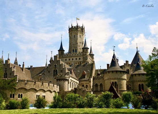 New York Institute of Photography by null