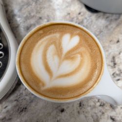 Seattle Barista Academy - Practicing Latte Art