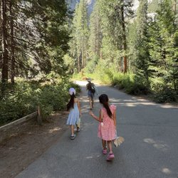 Lower Yosemite Falls
