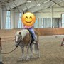 Misty Meadows Equine Learning Center