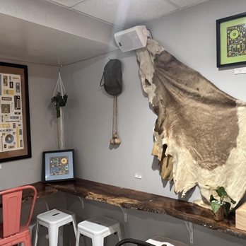 Tango Pastry - a cow hide hanging on the wall - Bakeries Near Me - Vienna, Virginia Tango Pastry - a cow hide hanging on the wall - Bakeries Near Me - Vienna, Virginia