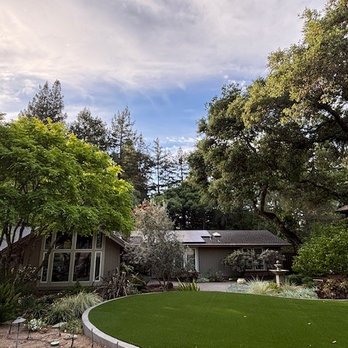 Forest Tree Services - Trees trimmed by Forest Tree Services - Tree Services Near Me - Santa Rosa, California Forest Tree Services - Trees trimmed by Forest Tree Services - Tree Services Near Me - Santa Rosa, California