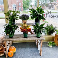 Hometown Florist - Some of the plant collection