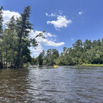 Blackwater Canoe Rental - View - Rafting/Kayaking Near Me - Milton, Florida