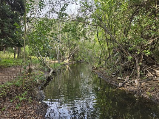 El Dorado Nature Center by null