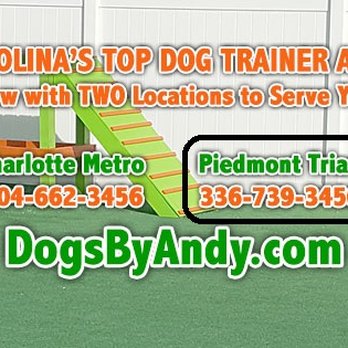 Dogs By Andy K-9 Services - Pet Training Near Me - Greensboro, North Carolina Dogs By Andy K-9 Services - Pet Training Near Me - Greensboro, North Carolina