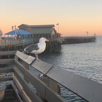 Stearns Wharf - Watching the sunset and the seagulls - Local Flavor Near Me - Santa Barbara, California Stearns Wharf - Watching the sunset and the seagulls - Local Flavor Near Me - Santa Barbara, California