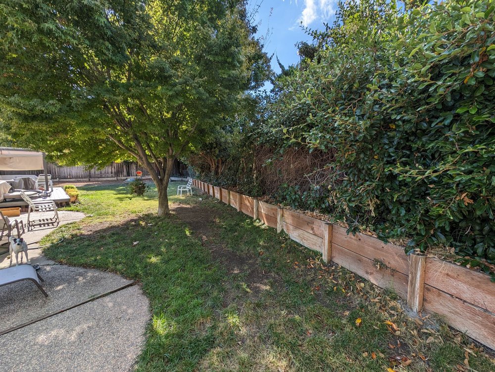 Dsoto Tree & Arborist Services - tree service in Palo Alto, CA