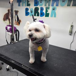 The Bow Wow Barbers