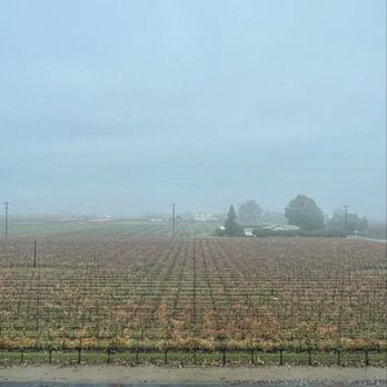 Tru by Hilton Lodi - View from the room - Hotels Near Me - Lodi, California Tru by Hilton Lodi - View from the room - Hotels Near Me - Lodi, California