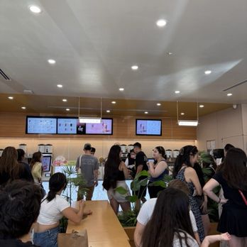 Molly Tea - Bubble Tea Near Me - Sunnyvale, California