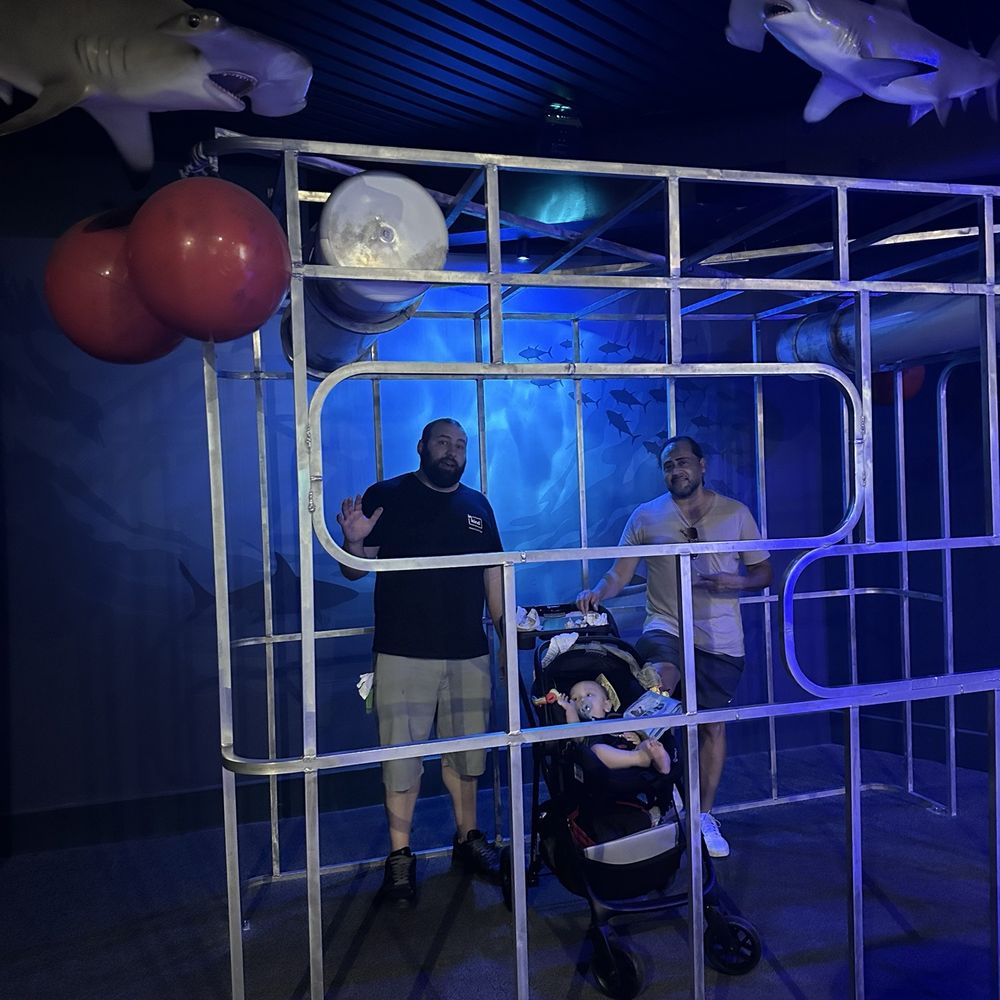 Texas State Aquarium - Shark cage! - Aquariums Near Me - Corpus Christi, Texas Texas State Aquarium - Shark cage! - Aquariums Near Me - Corpus Christi, Texas