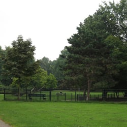 Hundewiese Zoopark