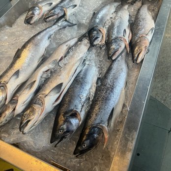 Seattle Fish Guys - Seafood Markets Near Me - Seattle, Washington Seattle Fish Guys - Seafood Markets Near Me - Seattle, Washington