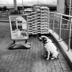 Lidl - Bark essentials.
