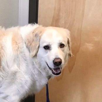 West Eugene Animal Hospital - Veterinarians Near Me - Eugene, Oregon