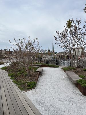 The Rail Park by null