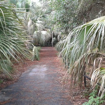 A.D. Barnes Park - Foliage! - Parks Near Me - Miami, Florida