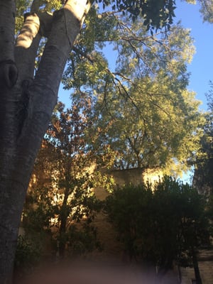 Hotel Le Vieux Castillon by null