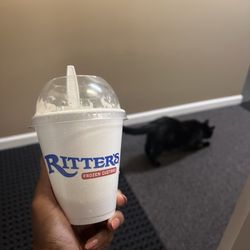 Ritter's Frozen Custard - Small seasonal shake (apple pie-esque)