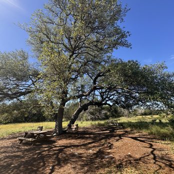 Lady Bird Johnson Wildflower Center - Botanical Gardens Near Me - Austin, Texas