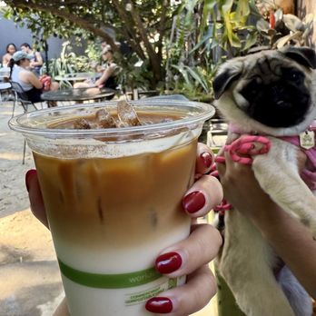 Cafe Xochi - Horchata Latte (Oat Milk) - Cafes Near Me - Oakland, California Cafe Xochi - Horchata Latte (Oat Milk) - Cafes Near Me - Oakland, California