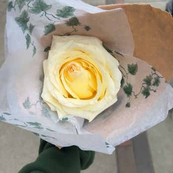 Romano Florist - The $2 rose that was bigger than my fist! - Florists Near Me - Boston, Massachusetts Romano Florist - The $2 rose that was bigger than my fist! - Florists Near Me - Boston, Massachusetts