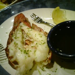 lobster