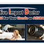 Photo of Automotive Import Doctor