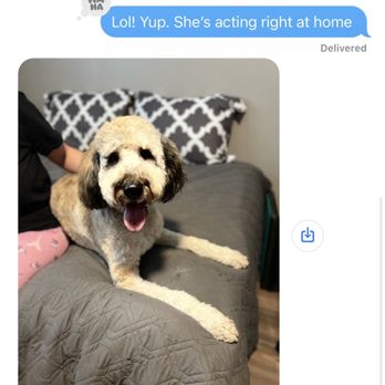 Off Leash K9 Training - Constant communication with Nathalie during her training stay! - Pet Training Near Me - Murrieta, California Off Leash K9 Training - Constant communication with Nathalie during her training stay! - Pet Training Near Me - Murrieta, California