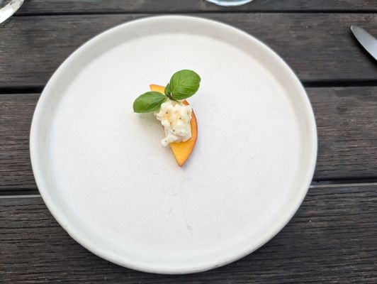 Golden Gate Saloon by null