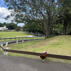 Keokea Park