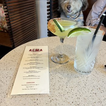 Alma Tequileria - Name This Cocktail, Alma Paloma and dog :) - Bars Near Me - San Jose, California