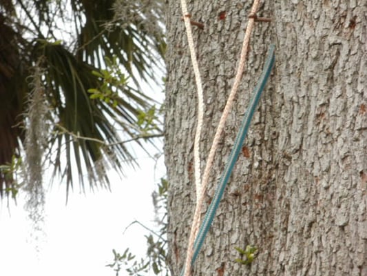 Favale Lightning Protection