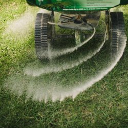 TeamTurf - Lawn Fertilization