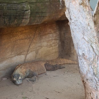 Taronga Zoo - Zoos Near Me - Mosman, NSW Taronga Zoo - Zoos Near Me - Mosman, NSW