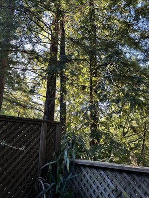 Fernwood Resort and Campground by null